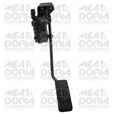 Accelerator Pedal Unit